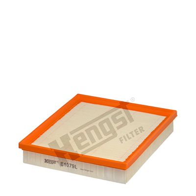 HENGST FILTER oro filtras E1079L